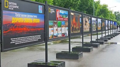 Photo of На уличных стендах