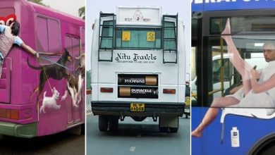 Photo of На автобусах