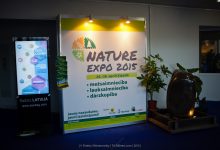 Photo of Продвижение бренда через интернет-рекламу