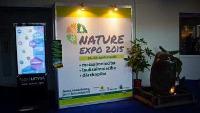 Photo of Продвижение бренда через интернет-рекламу